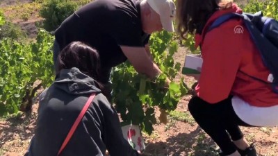 Şehir Stresinden Bağ Bozarak Kurtuluyorlar