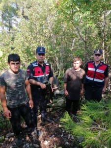 Sürüyü Bırakıp Kaybolan Çoban Kaya Blokları Arasında Bulundu