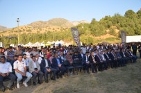 ALİ HAMZA PEHLİVAN - Terör Bitti Dağlar Şenlendi, Festivaller Yapılıyor