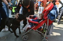 KIZILAY MEYDANI - Başkent'te İtfaiye Haftası Çeşitli Etkinliklerle Kutlanıyor