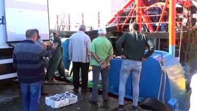 Karadeniz'de Hamsi Bolluğu Balıkçıları Sevindirdi
