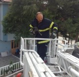 Manisa'da Görme Engelli Kediyi İtfaiye Kurtardı