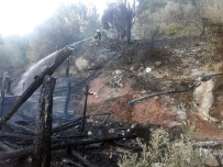 Muğla'da Korkunç Yangın