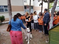 HAYVANLARI KORUMA DERNEĞİ - Sokak Köpeği Artık Minik Öğrencilere Emanet