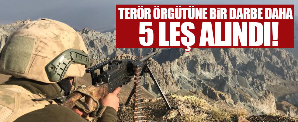 Terör örgütüne bir darbe daha