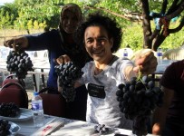 Türk Halk Müziği Sanatçısı Oğuz Aksaç, Cimin Üzümüne Hayran Kaldı Haberi