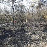 BOZKÖY - Aliağa'da Çıkan Orman Yangını 2 Saatte Söndürüldü