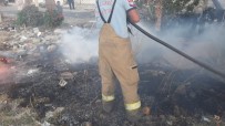 PELITKÖY - Burhaniye'de Ot Yangınlarında Ağaçlar Zarar Gördü