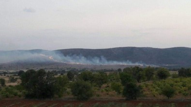 Denizli'de Anız Yangınında 60 Hektar Alan Zarar Gördü