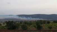 Denizli'de Anız Yangınında 60 Hektar Alan Zarar Gördü Haberi