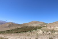 Erzincan'da Tarımsal Üretim Yapan Tesisler Ziyaret Edildi Haberi