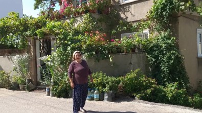 Evinde 500 Saksı Çiçekle Yaşıyor