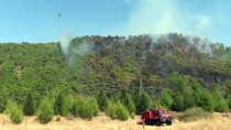 TRAFİK MÜDÜRLÜĞÜ - GÜNCELLEME 2 - Muğla'da Orman Yangını