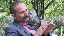 SOKAK KÖPEKLERİ - 'Hayvanlar Hayatıma Her Zaman Güzellik Katıyor'