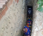 İncir Toplayayım Derken Az Kalsın Canından Olacaktı