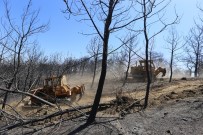 30 AĞUSTOS ZAFER BAYRAMı - İzmir'de Yanan 500 Hektarlık Alanı Yeşillendirmek İçin Hazırlıklar Başladı