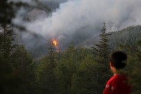 ORMAN İŞÇİSİ - Kaş'taki Orman Yangınında Hızlı Müdahale Büyümeyi Önledi