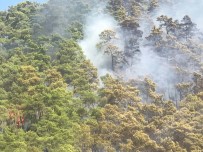 SANAYİ SİTESİ - Marmaris'teki Orman Yangını Kontrol Altına Alındı