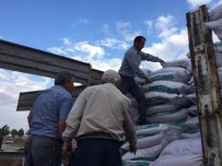 TUĞLU - Afetten Zarar Gören 365 Çiftçiye Sertifikalı Tohum Dağıtıldı