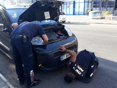 Alanya'da Aracın Motor Kısmına Sıkışan Yavru Kedi Kurtarıldı