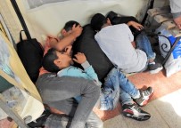 Çeşme'de 224 Göçmen Yakalandı