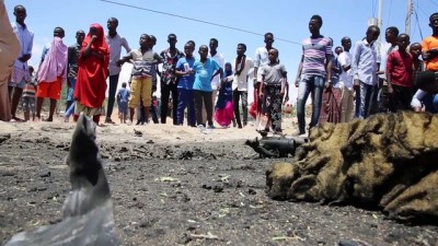 Eş-Şebab Somali'de ABD Ve Avrupa Güçlerine Saldırdı