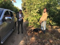 AVCILIK - Kaçak Avcılığa Geçit Yok