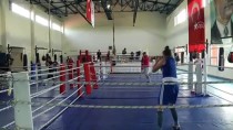 OLIMPIYAT - Kadın Milli Boksörler Yumruklarıyla Dünyayı Devirmek İstiyor