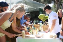 YEMEK YARIŞMASI - Tatile Gelen Turistler Denizden Çıkıp 500 Yıllık Ağaçlardan Zeytin Topladı