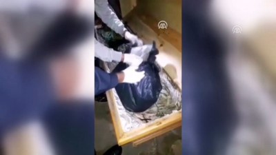 Uyuşturucuyu Tabuta Gizlemişler