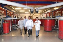 SANKO HOLDING - Vali Aykut Pekmez Sanko Holding'in İplik İşleme Tesislerini Gezdi