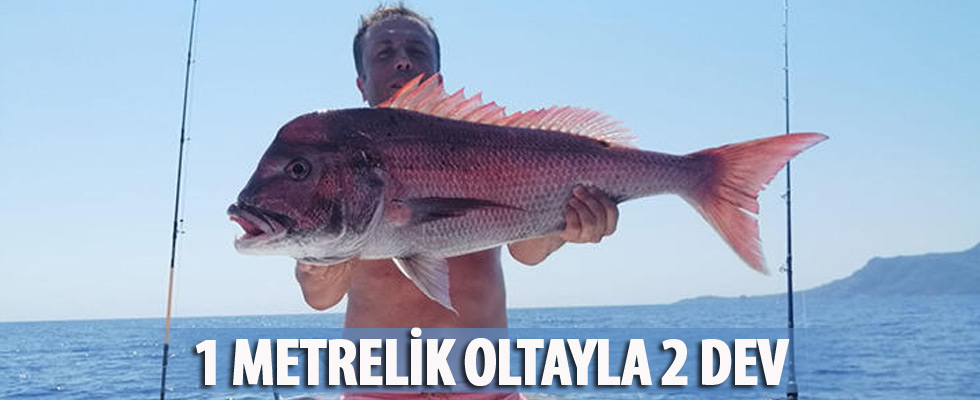 1 metrelik oltayla 2 adet 20 kiloluk dev sinarit yakaladı