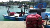 SALYANGOZ - Balıkçılar Rotayı Salyangoza Çevirdi