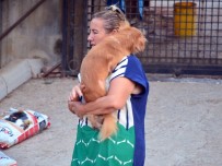 SEÇMELİ DERS - Engelli Sokak Hayvanları Onlara Emanet