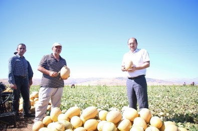 Erzincan'da Tarım Sektörüne Yatırımlar Büyük Bir İvme Kazanmaya Başladı