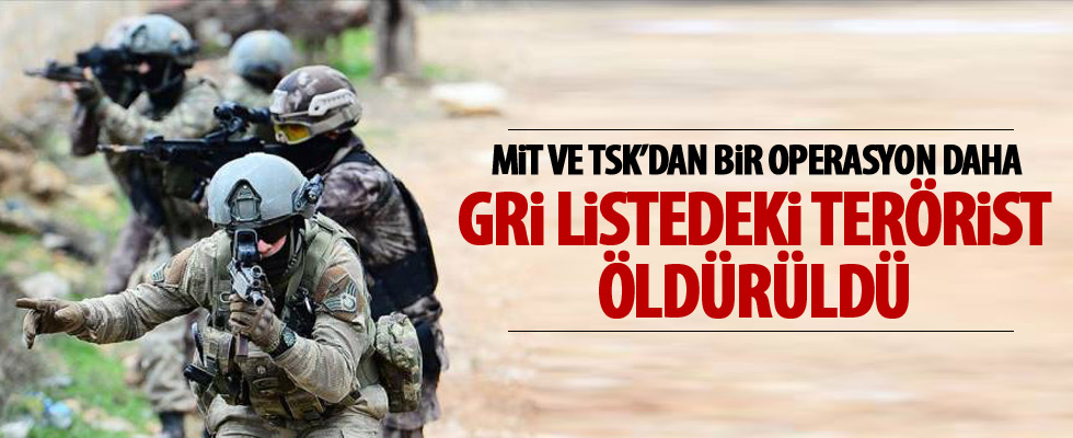 Gri listede aranan terörist etkisiz hale getirildi