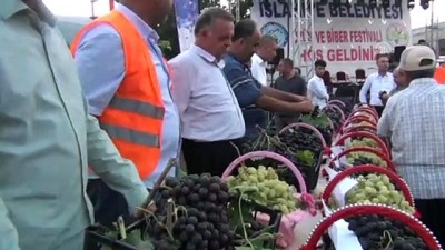 İslahiye Üzüm Ve Biber Festivali Başladı