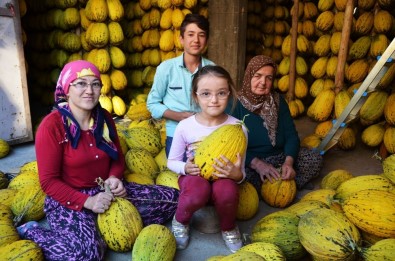 Kırkağaç'ta 30 Bin Ton Kavun Askıda