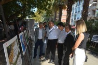 BAKIŞ AÇISI - Sinop'ta 10. Tarım Ve İnsan Fotoğraf Sergisi