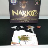 BONZAI - Torbacı Operasyonunda 6 Gözaltı