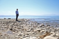 SU KAYBI - Van Gölü'nde Su Seviye Farkı Düşüyor