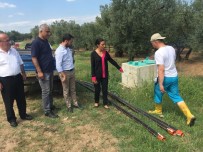 NURHAYAT ALTACA - 'DSİ'nin Kanaletleri Sürekli Patlıyor, Sulama Kanalı Çiftçiyi Çileden Çıkarıyor'