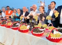 MUHAMMED LÜTFİ KOTAN - En Güzel Üzüm Seçildi