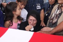 AVRUPA ŞAMPİYONU - Milli Güreşçi Tevfik Kış Son Yolculuğuna Uğurlandı