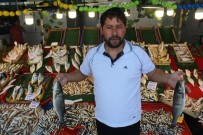 BALIKÇI ESNAFI - Tezgahta balık bollaşınca fiyatlar düştü