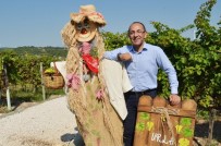 DEMIRCILI - Urla'da 3 Günde 2 Şenlik 1 Eylem