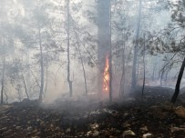 İŞ MAKİNASI - Adana'da Orman Yangını