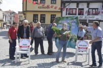 ODUNPAZARI - Gürleyik'deki Kirliliğe İlginç Protesto