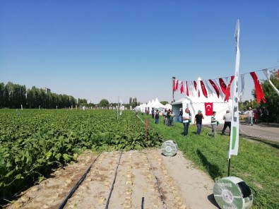 Hüseyin Akay Açıklaması'Çiftçiye Verilen Boşa Gitmez Diyerek, Artı 10 TL Uygulamamız Devam Edecek'