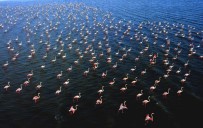 BRONZ MADALYA - İHA Muhabiri Olcay'a 2 Ödül